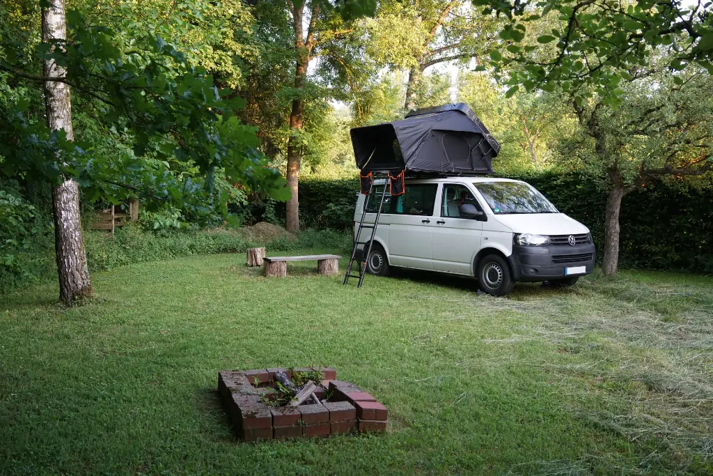 ZOGGO Max auf VW Bus